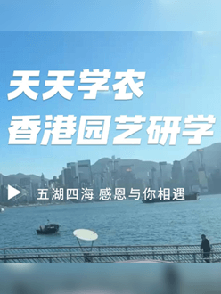 与香港园艺学会联合举办香港园艺研学，专业园境师带队讲解。